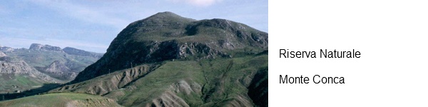 Monte Conca